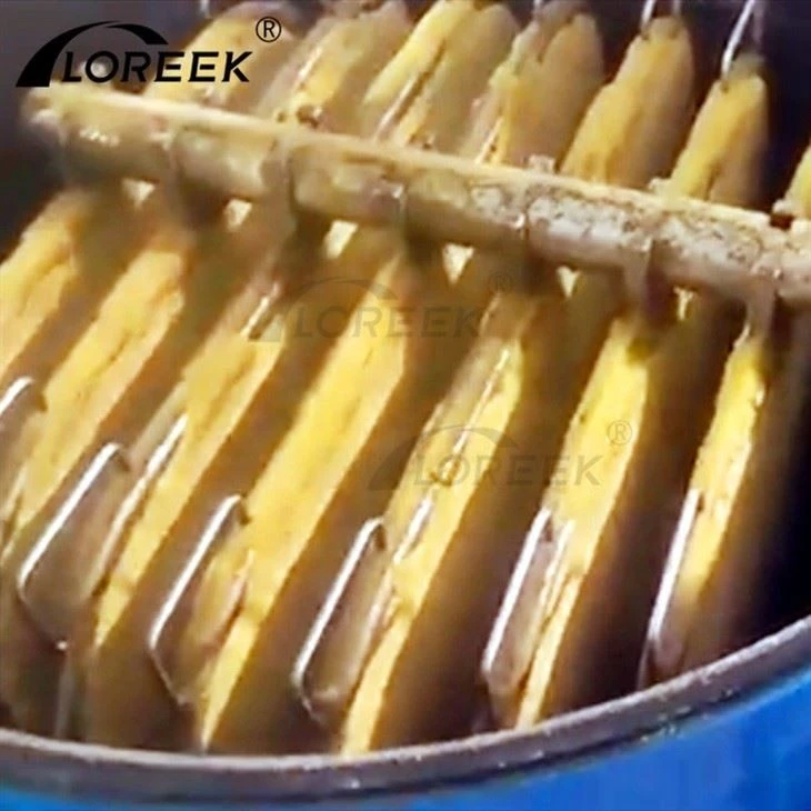 crude rapessed oil filters